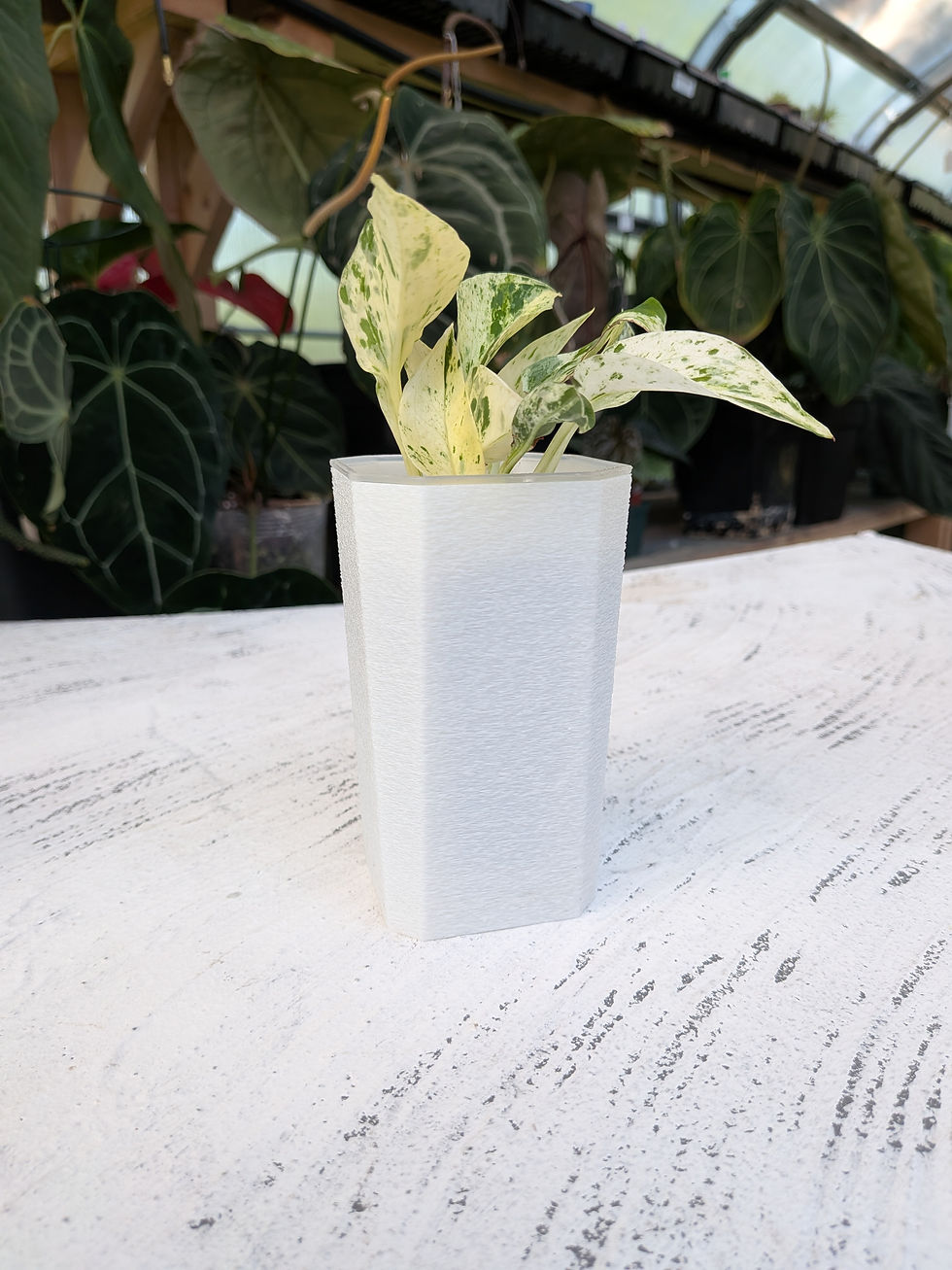 Thumbnail: Tall Textured Cachepot 