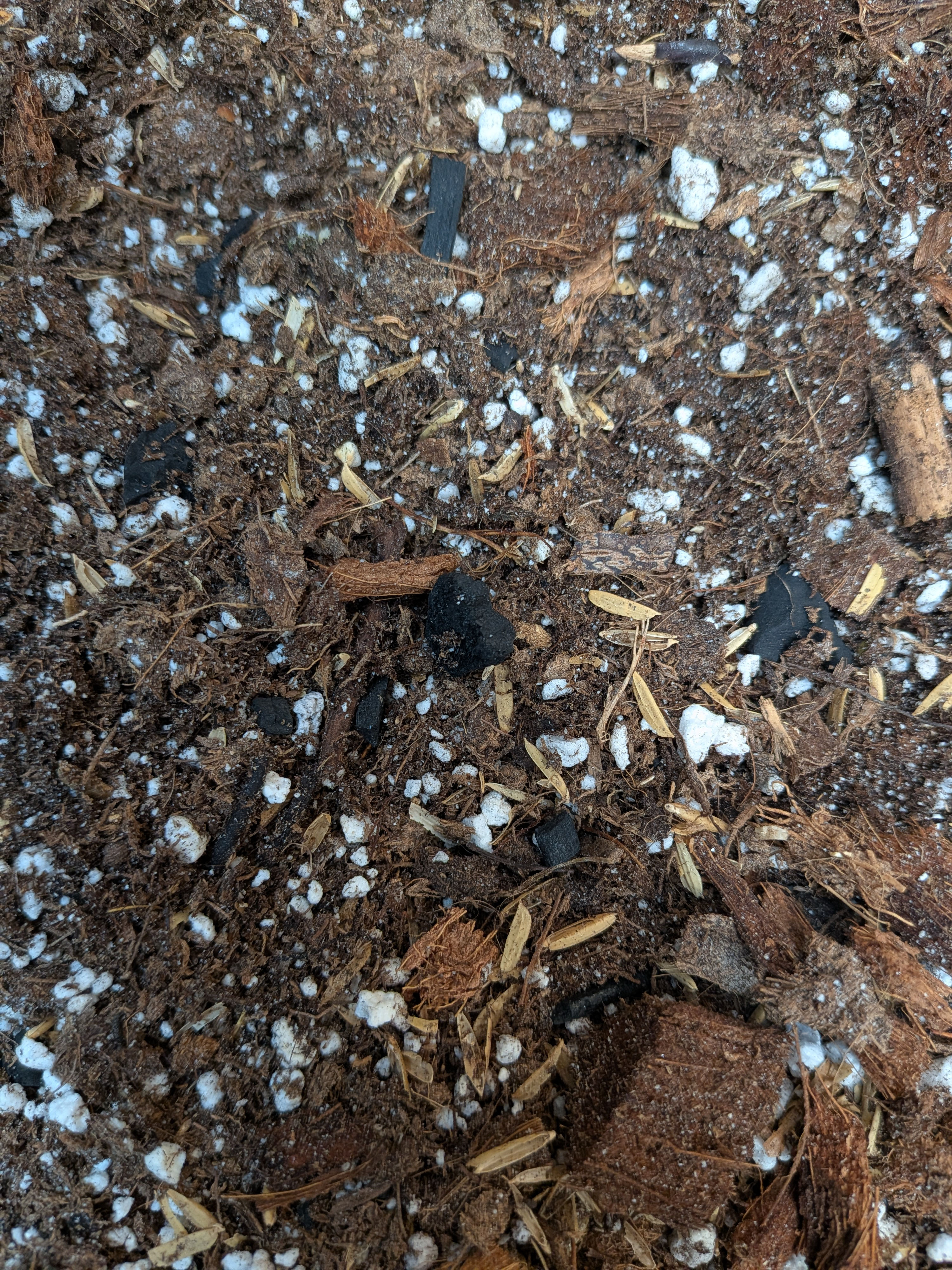 Premium House Blend Soil Mix - Hoya