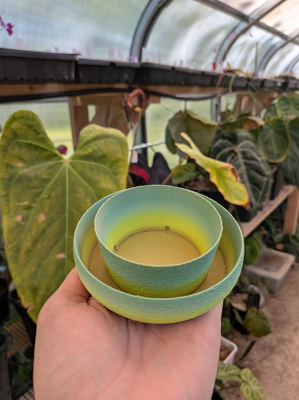 Thumbnail: June Color of the Month - Matcha 