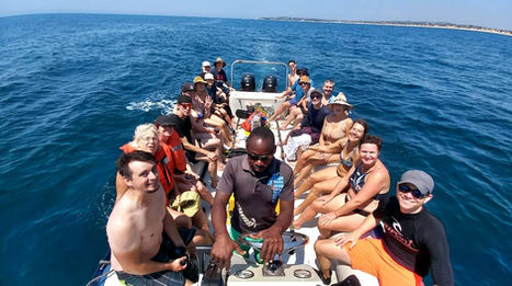 Barra Reef Divers Ocean Safari.jpg