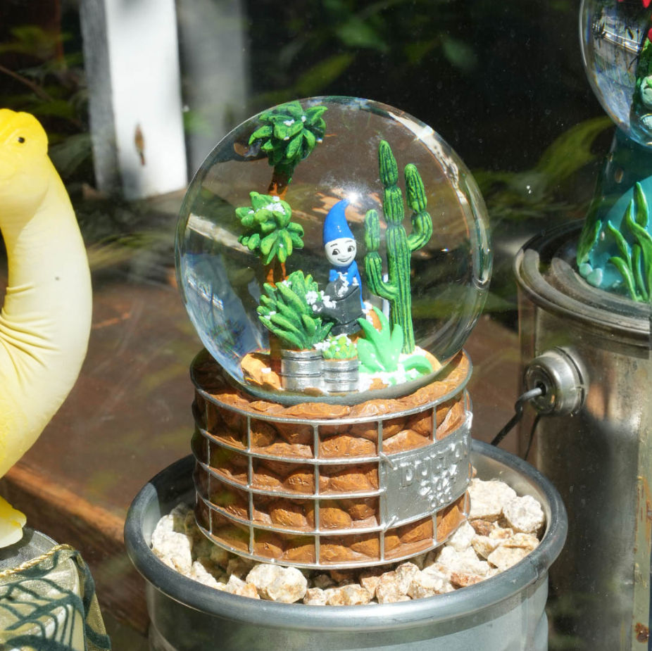 サムネイル： DULTON STONEGLOBE DRY GARDEN 006