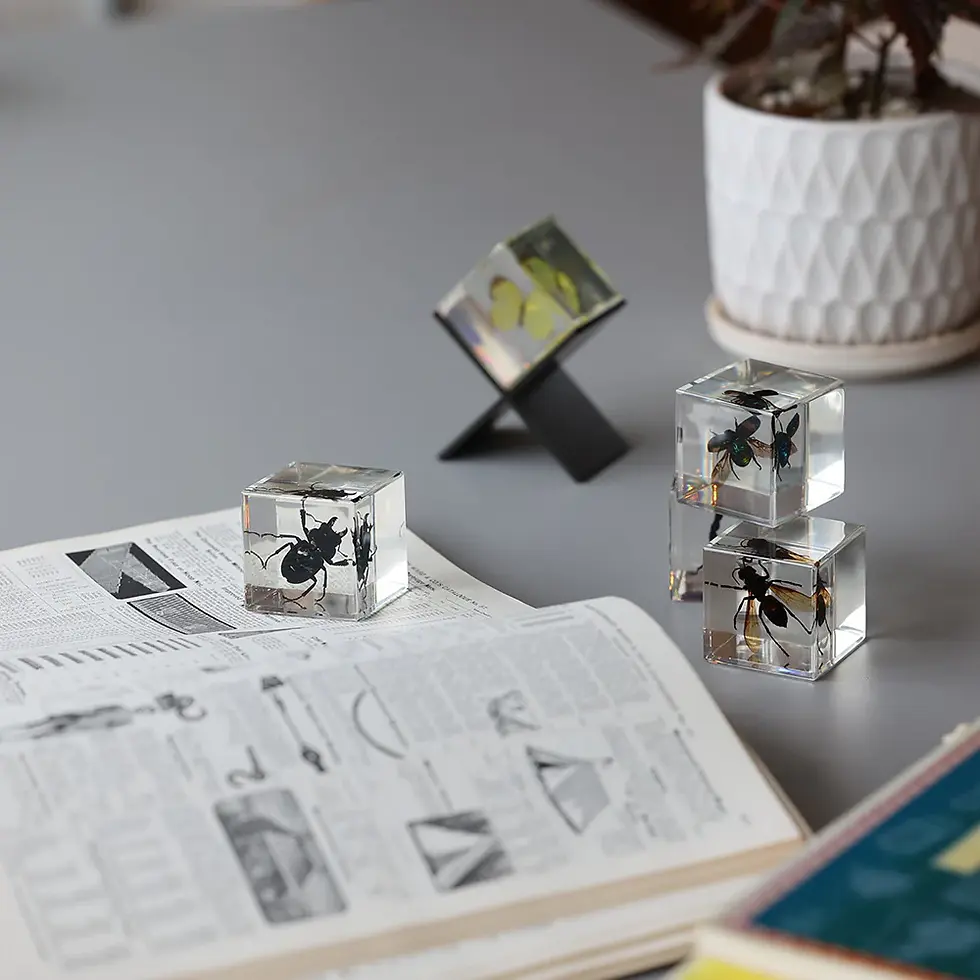 サムネイル： Casimir