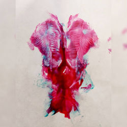 PAREDOLIA series