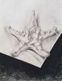 STARFISH STUDY