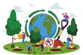 ¿Para qué sirve la educación ambiental?