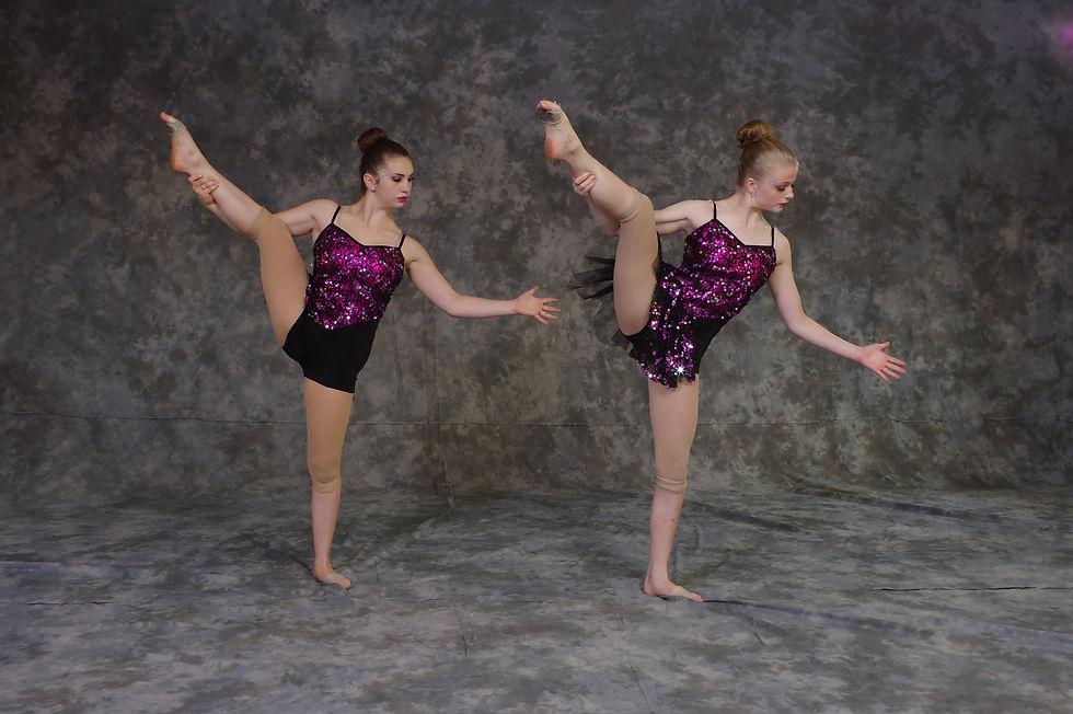Pink Panther-Jazz Duet 2015 1