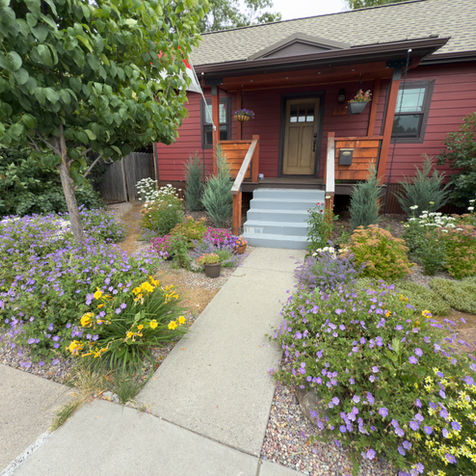Front yard - flowers, decorative rock, pathway in Bozeman, MT