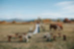 Flathead Lake Venue Background Image