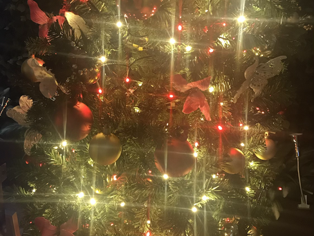 2021年最後の月☆