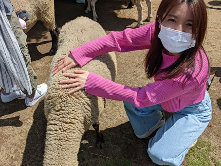 おひつじ座の満月