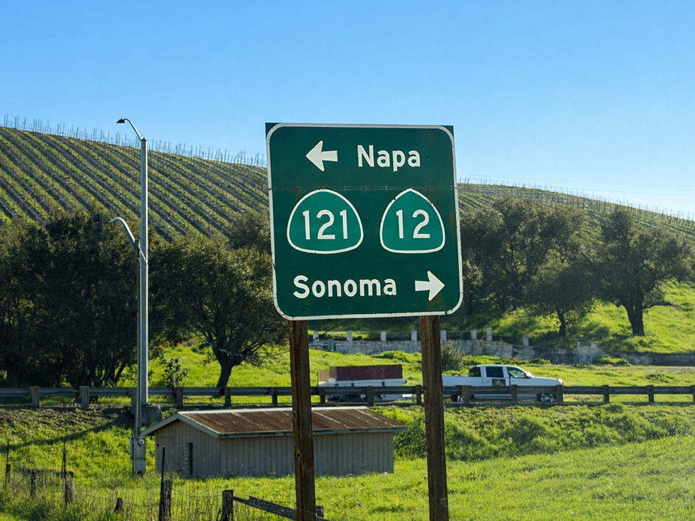 🌿 Best Things to Do in Sonoma This February: Wine, Romance & Luxury Stays