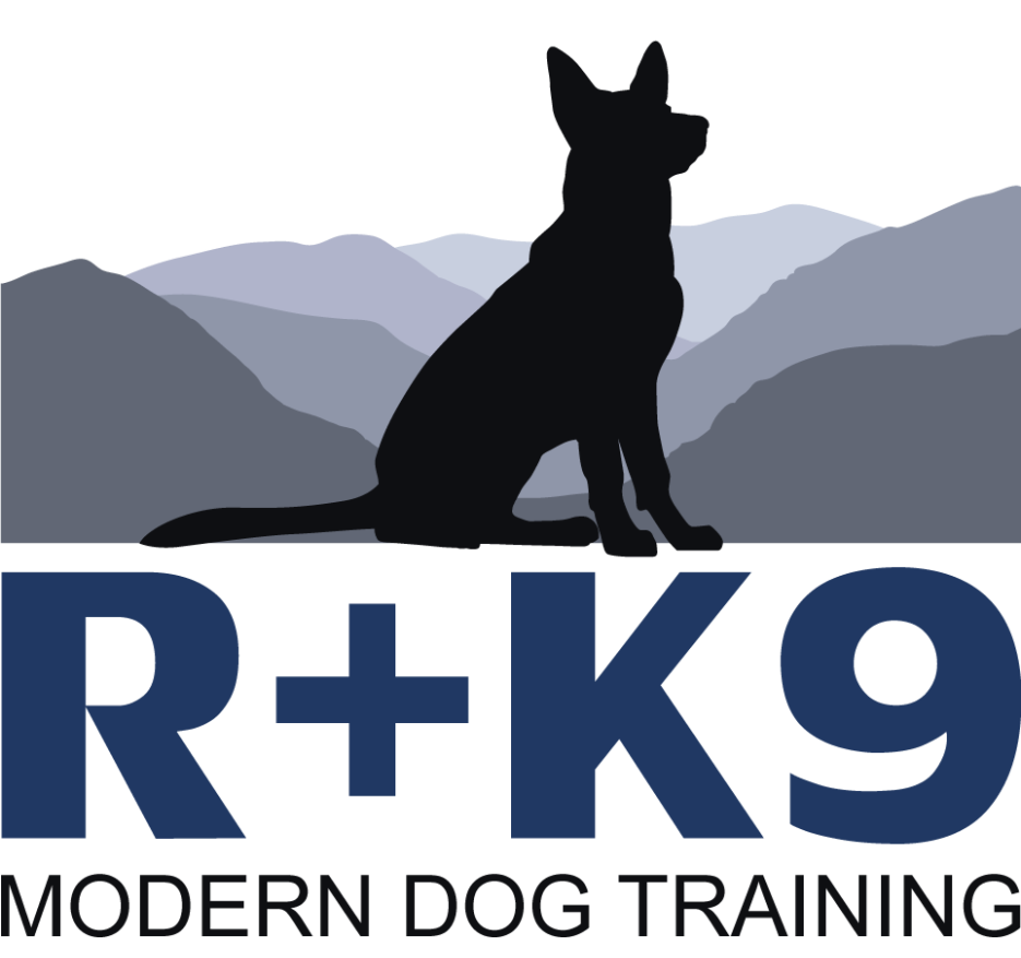 R K9 positive reinforcement dog training in Winchester VA