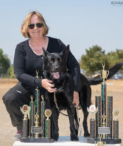 Dog Walker at the Park