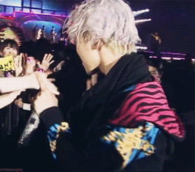 tumblr_n3qw0ePSL51t1nphuo1_400.gif