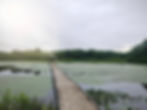 Wooden walking bridge leading to an observation and fishing dock on Lampson Lake in Ashtabula County Metroparks.