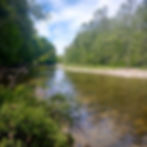 Conneaut Creek flowing through Camp Peet Metropark surrounded by lush green forest.