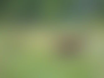 HUNTING SEASON 2025 – 2026