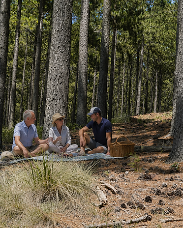 Family Picnic Landing Strip.png