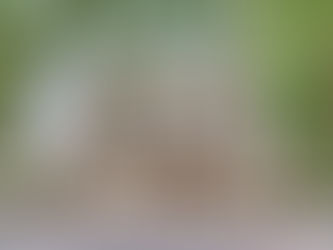 A Guide to Hackney's Landmarks