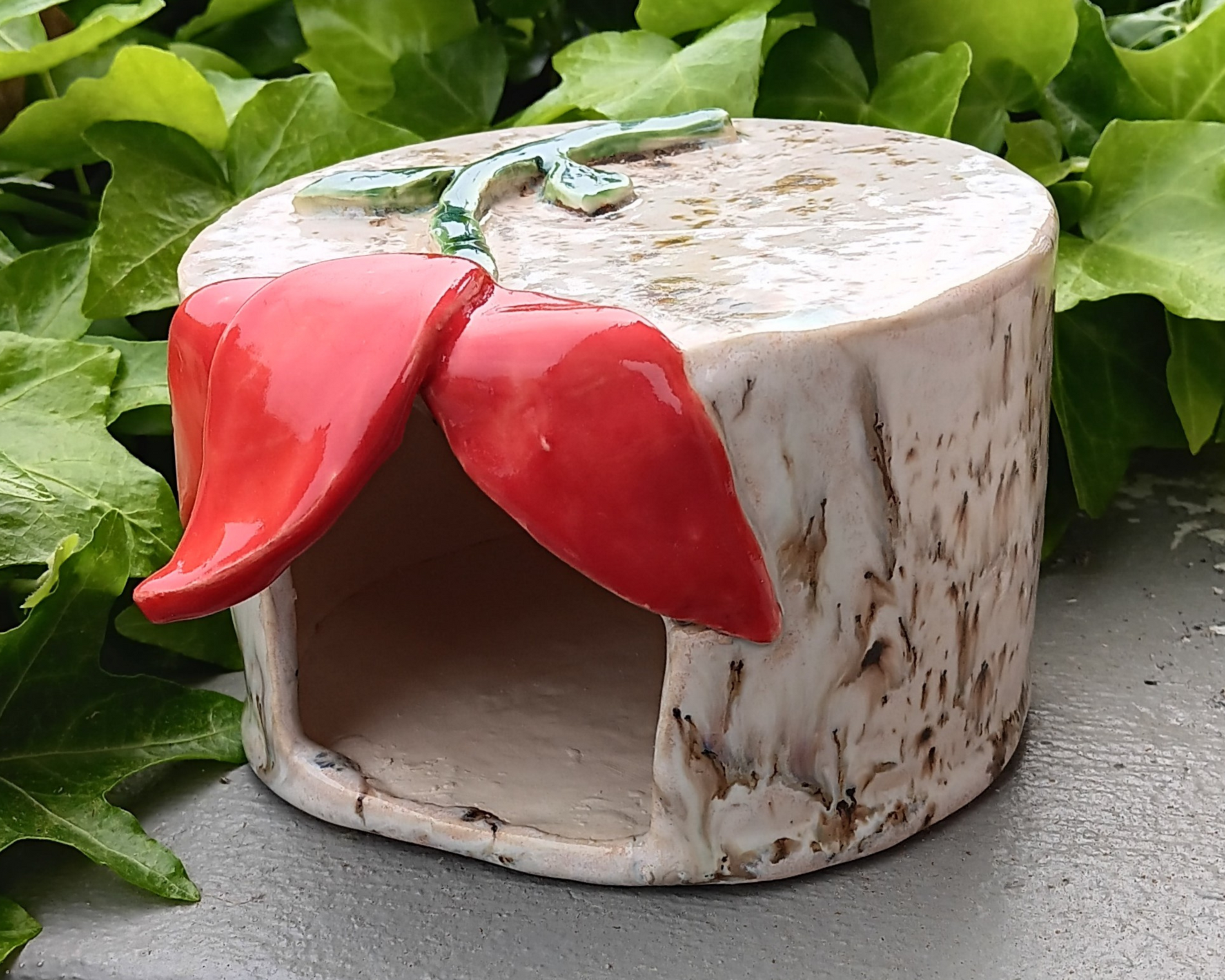 Lazy Tulip Toad Home (Red Tulip)