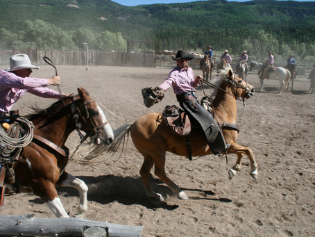 Save The Horses