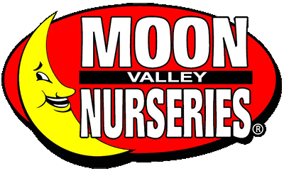 moonvalley_logo.gif