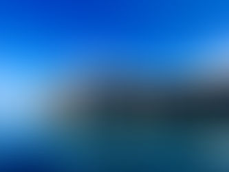 Boat Tour Trip Cruise Rent a boat Madeira best experience funchal cabo girao dplphins