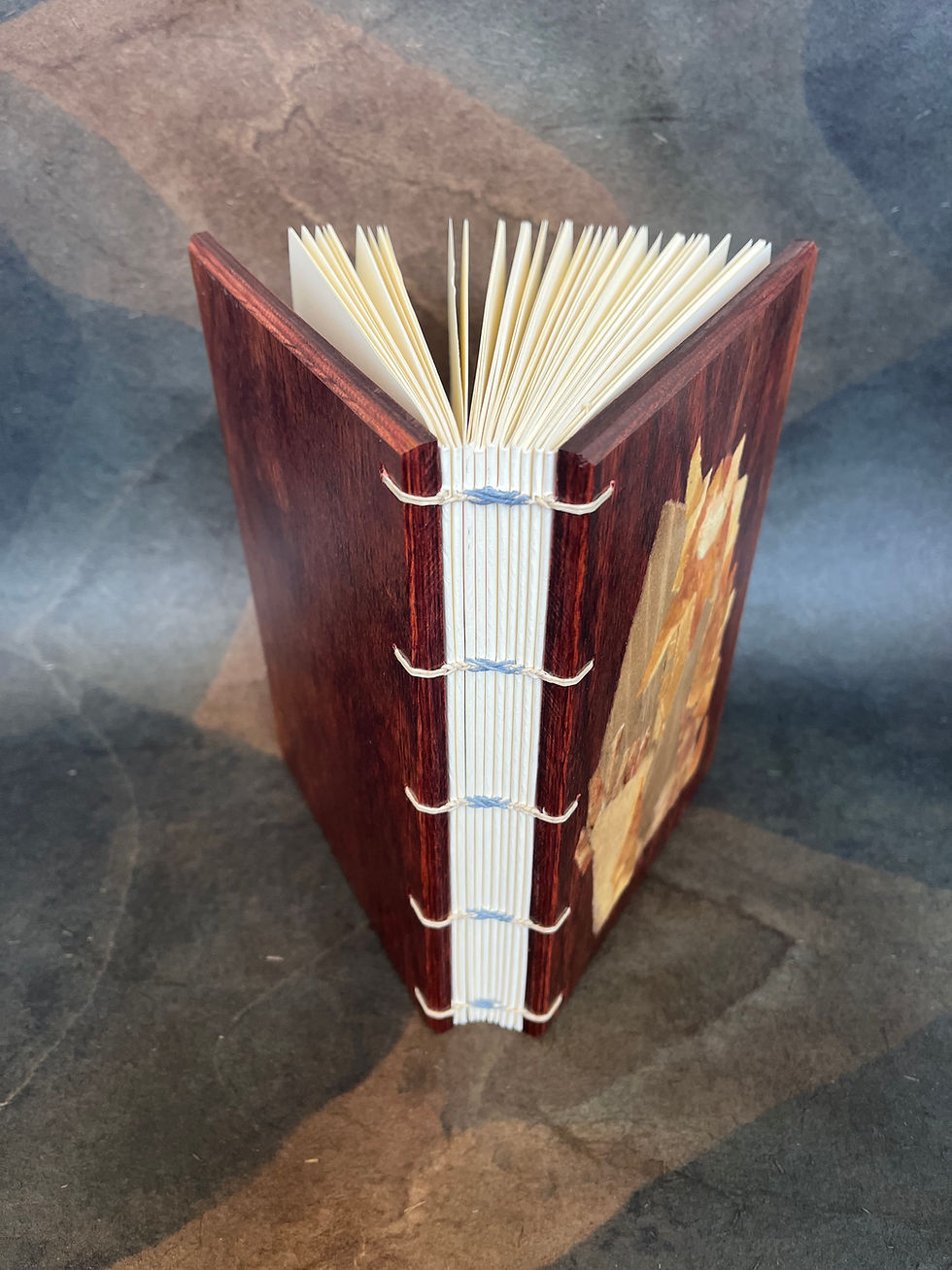 Thumbnail: Greek Binding with Collage Cover