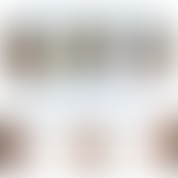 Reflecting on Progress: OCA AGM Highlights and Our 2026 Board