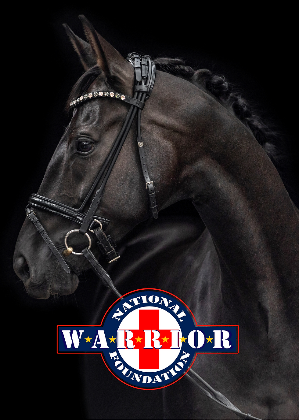 Horses for Heroes - a fundraiser to support the National Warrior Foundation Equine Therapy Program