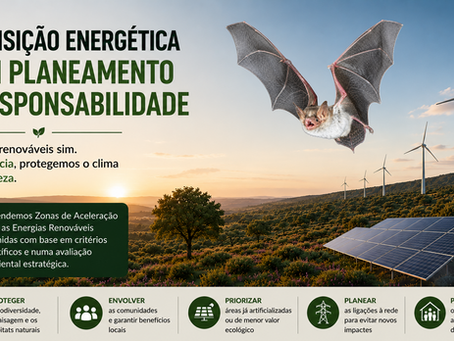 Energias renováveis e conservação da natureza podem andar de mãos dadas