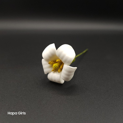 Puakenikeni Flower Hair Pick (White) | Hapa Girls