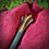 Thumbnail: Longsword