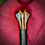 Thumbnail: Longsword