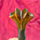 Thumbnail: Longsword