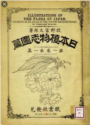 【戦前・初版本】大植物圖鑑　昭和十六年　らんまん・牧野富太郎ライバル　村越三千男 戦前・初版本】大植物圖鑑 昭和十六年 らんまん・牧野富太郎