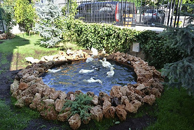 falez_taşı_ankara.jpg