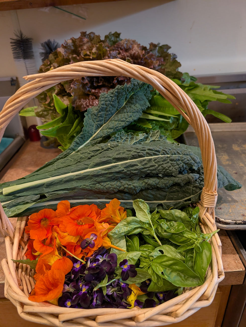 From the garden to the table!