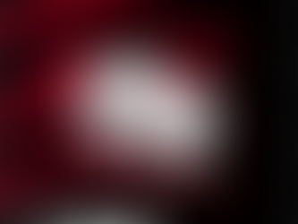 LHIA PRESENTA “CUANDO TODO ESTABA BIEN”