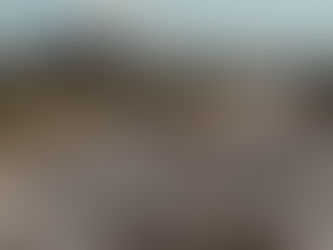 HISTORY ESTRENA LA MINISERIE DOCUMENTAL
“MISTERIOS DE LA CIVILIZACIÓN MAYA”