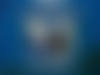 EL DAVID AGUILAR nos recuerda a las personas que ya no están con “De Largo Vi Pasar Tus Dedos”