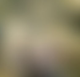 Paul McCartney & Wings anuncian la edición de 50° aniversario del álbum 'Wild Life'