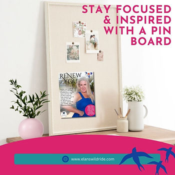Kate and Laurel Pin Board