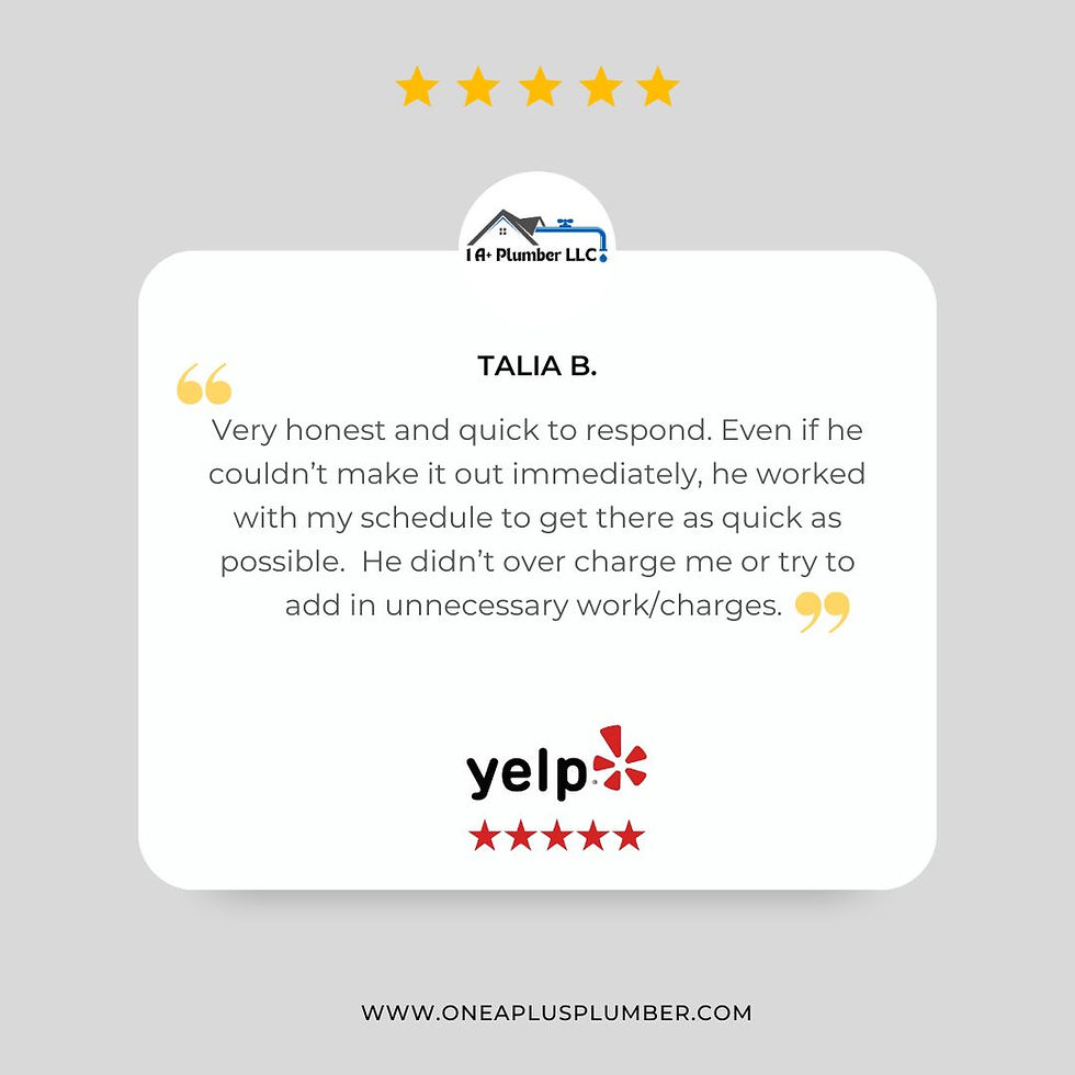 One A Plus Plumber 5 Star Review