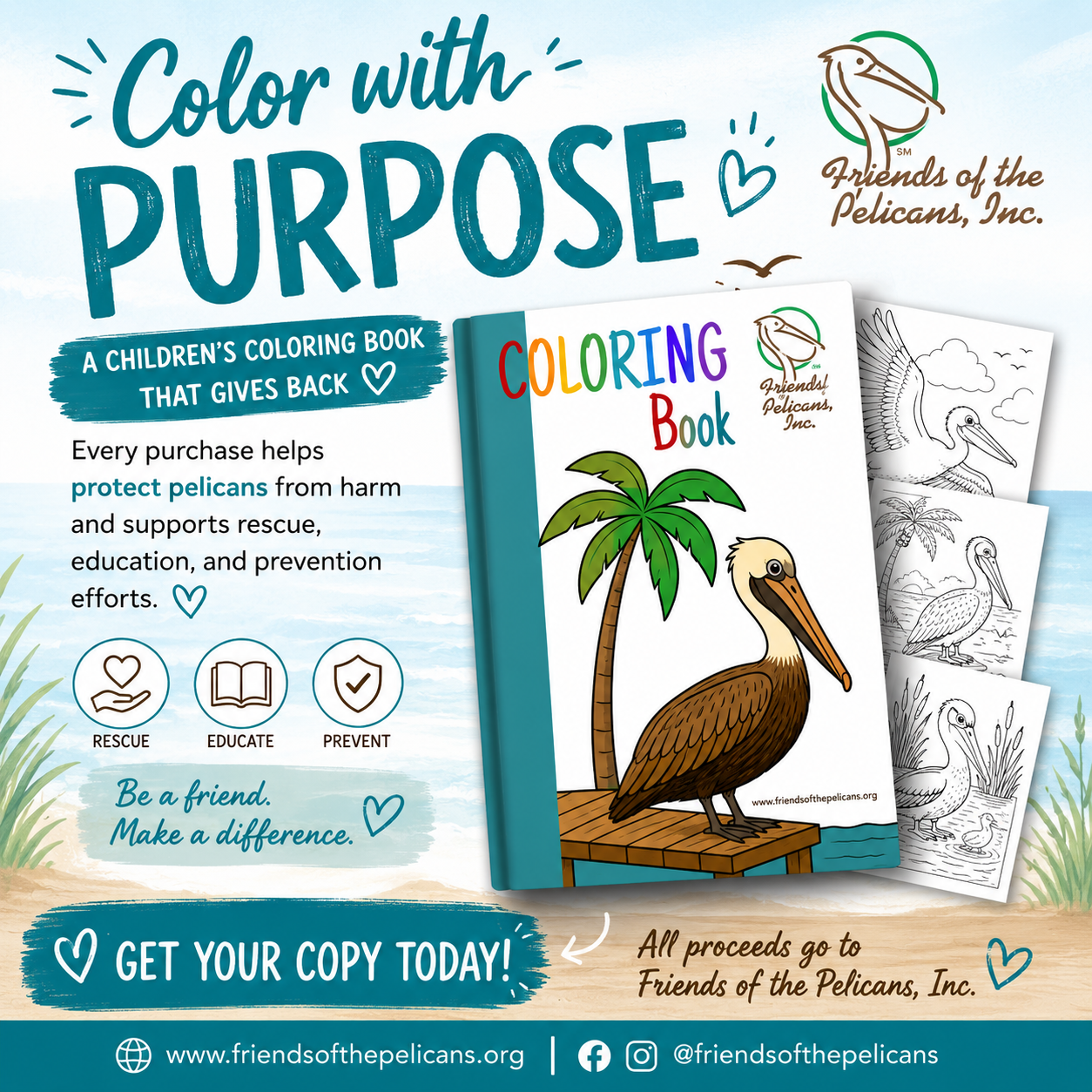 Pelican Coloring Book