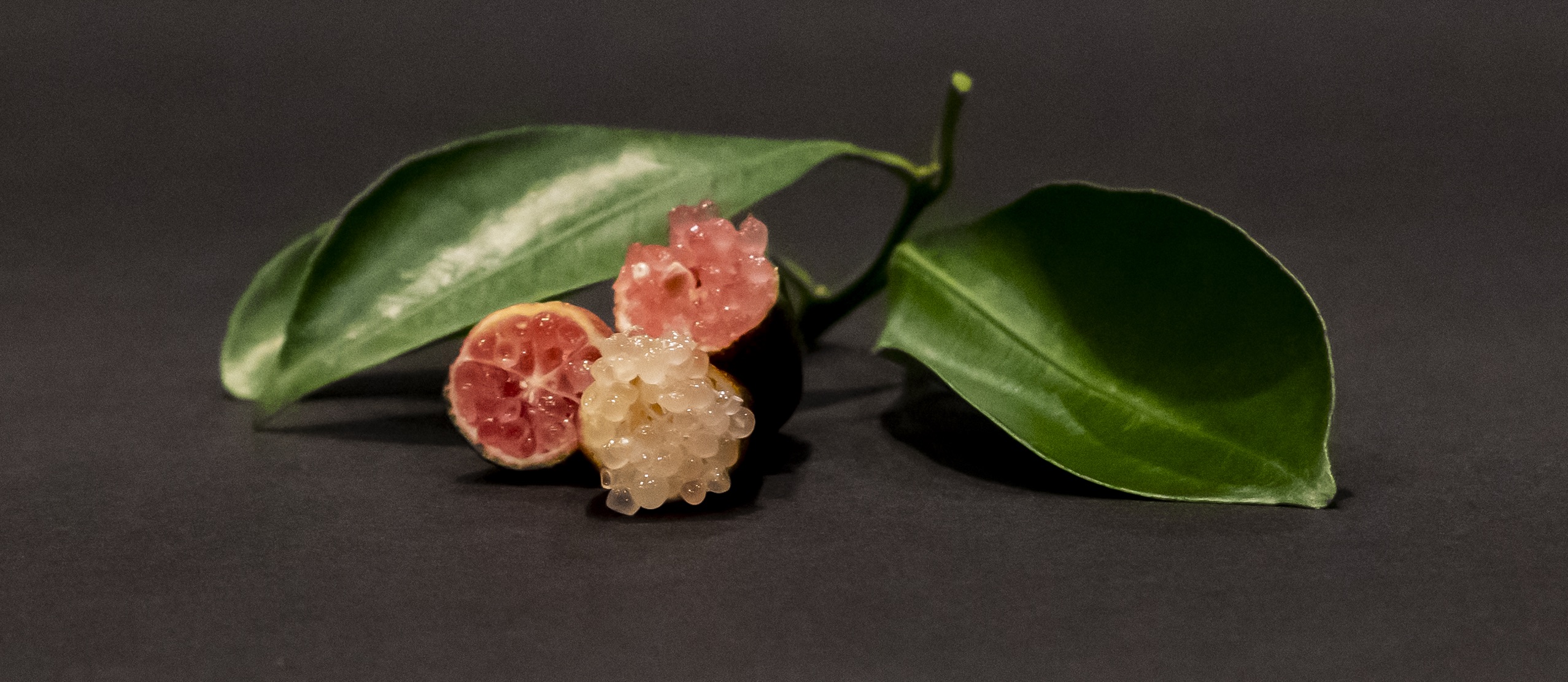 Red Fingerlimes