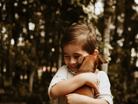 Cuando llega una mascota a casa... y hay niños...
