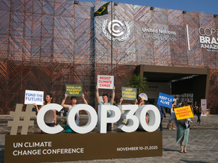 Global News Recap: November