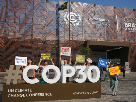 Global News Recap: November