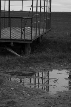 wagonreflection copy